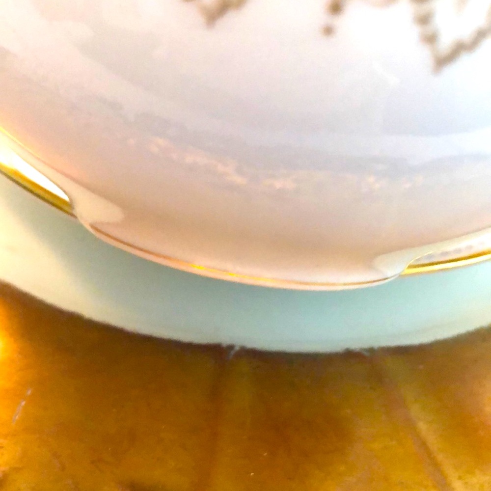 EUC- Pristine PL Limoges France, M. Redon Teacup & Saucer - Picture 9 of 13